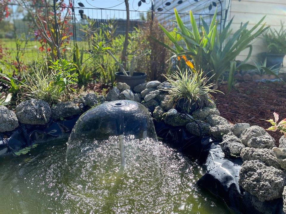 Fish pond with fountain