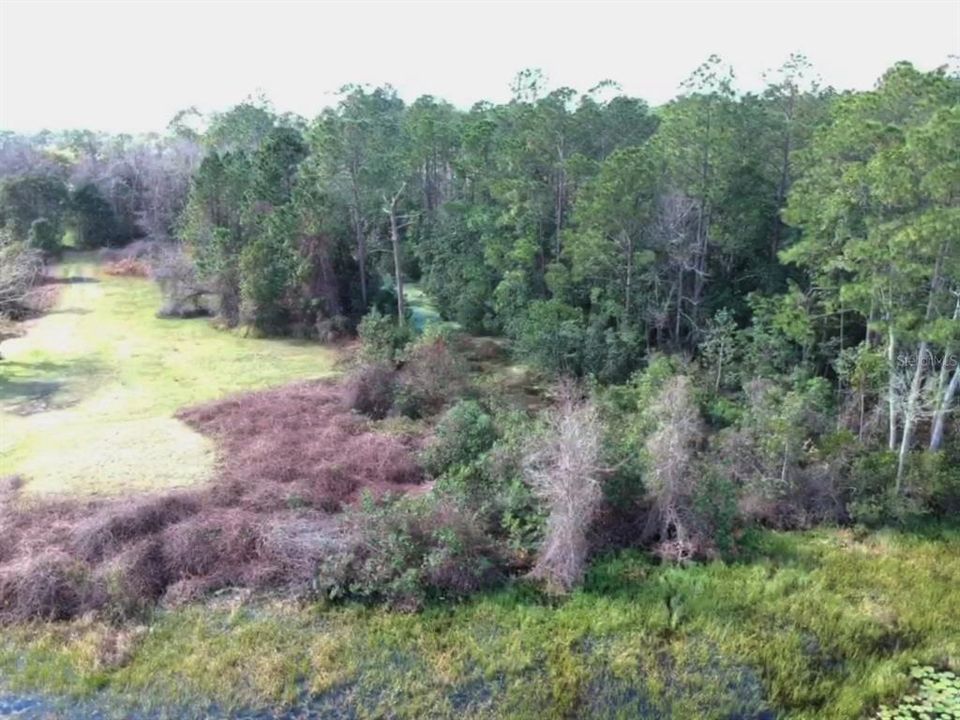 For Sale: $169,000 (1.62 acres)