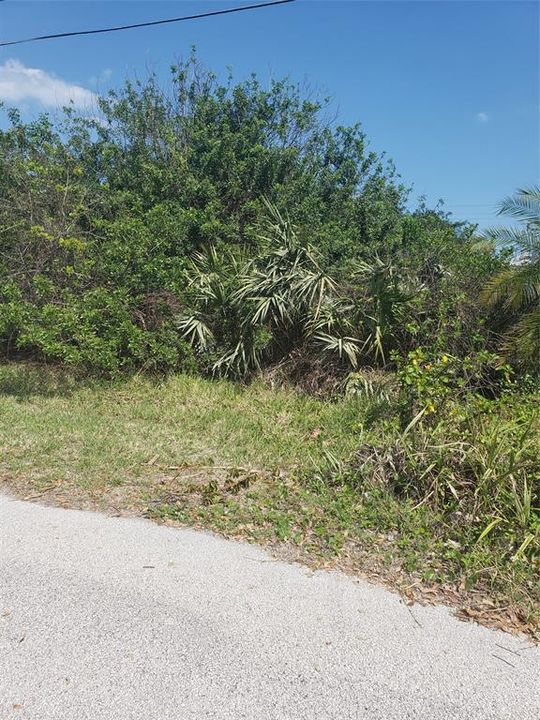 Vendido Recientemente: $129,900 (0.06 acres)