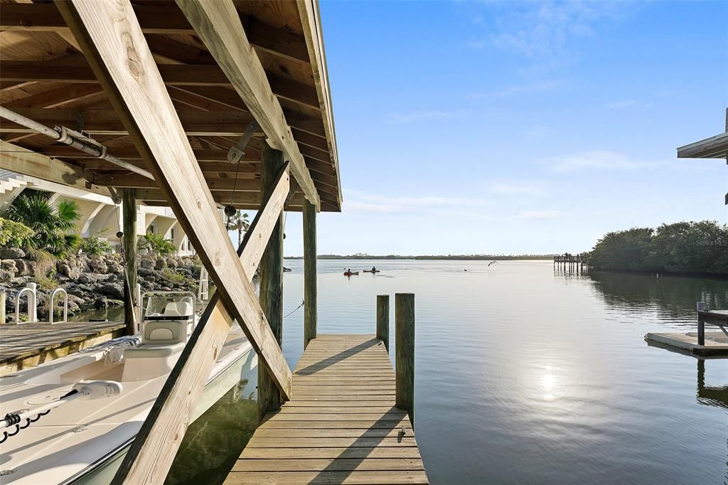 WATCH THE MANATEES AND DOLPHIN FROM YOUR PRIVATE DOCK...