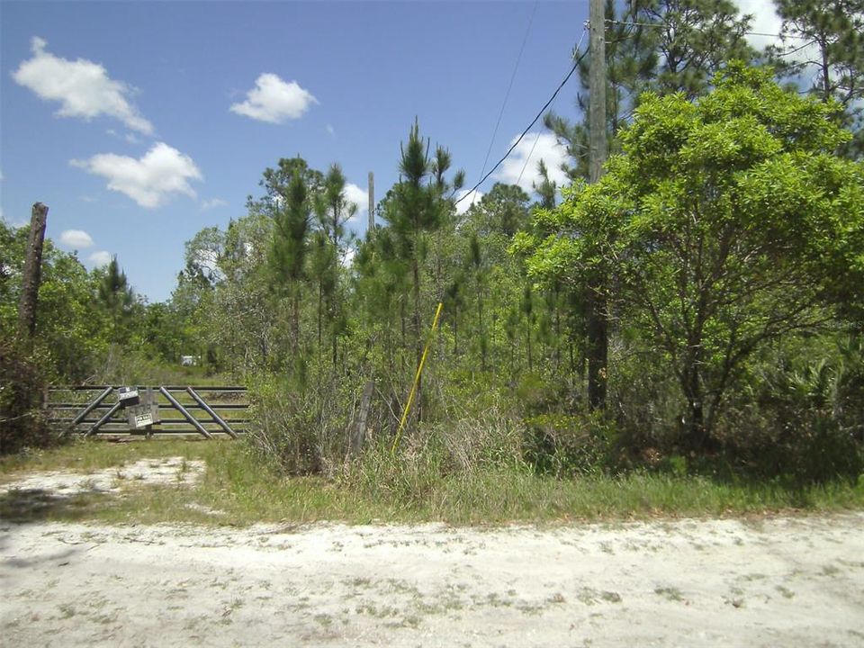 Front gate and electric service at approximately southeast corner of property