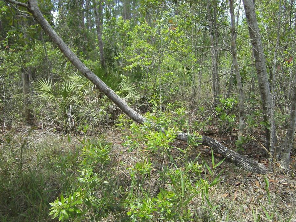 En Venta: $99,900 (Sin datos)