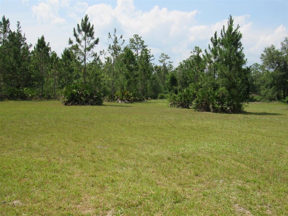 Vendido Recientemente: $129,900 (1.25 acres)