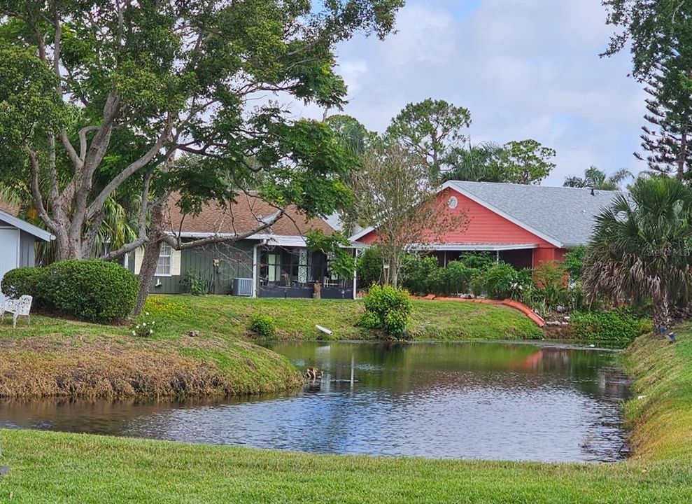 Pond View Across the Street