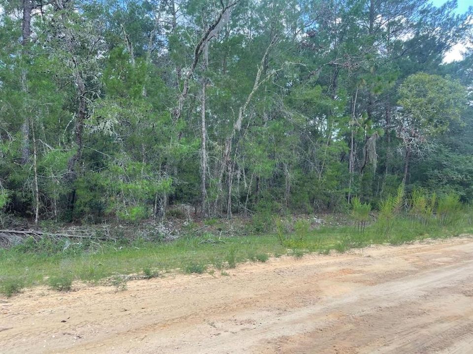 Vendido Recientemente: $18,000 (1.29 acres)