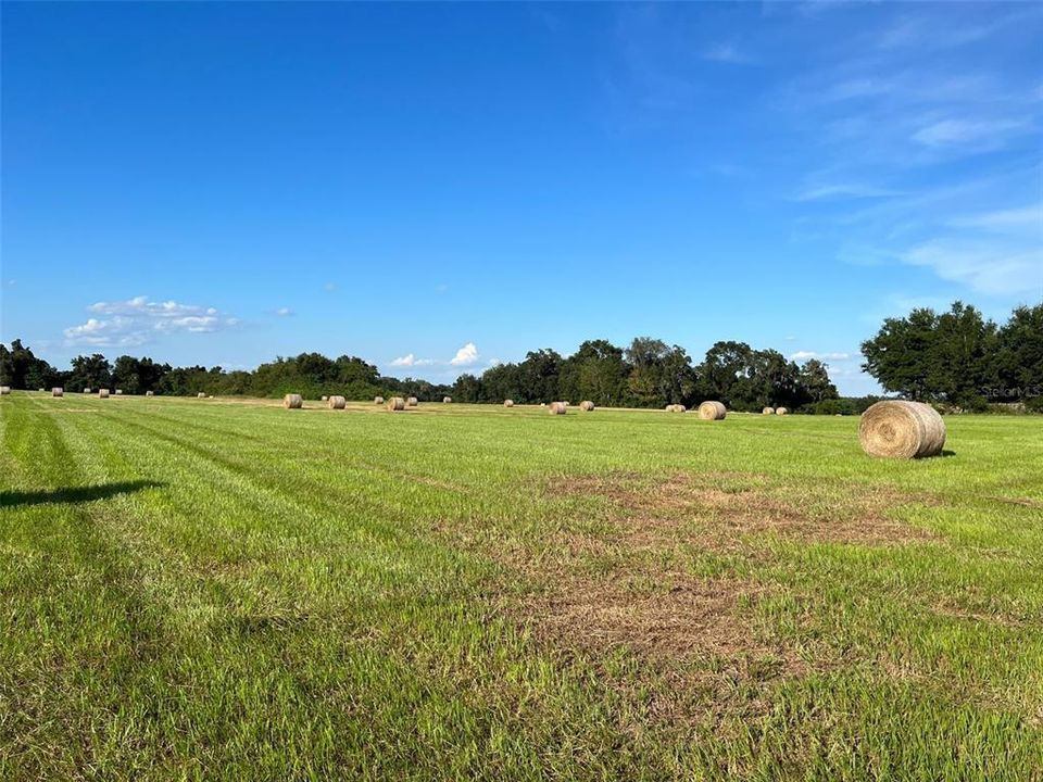 Recently Sold: $289,500 (10.02 acres)