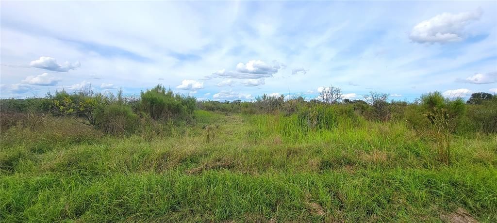 En Venta: $254,999 (10.00 acres)