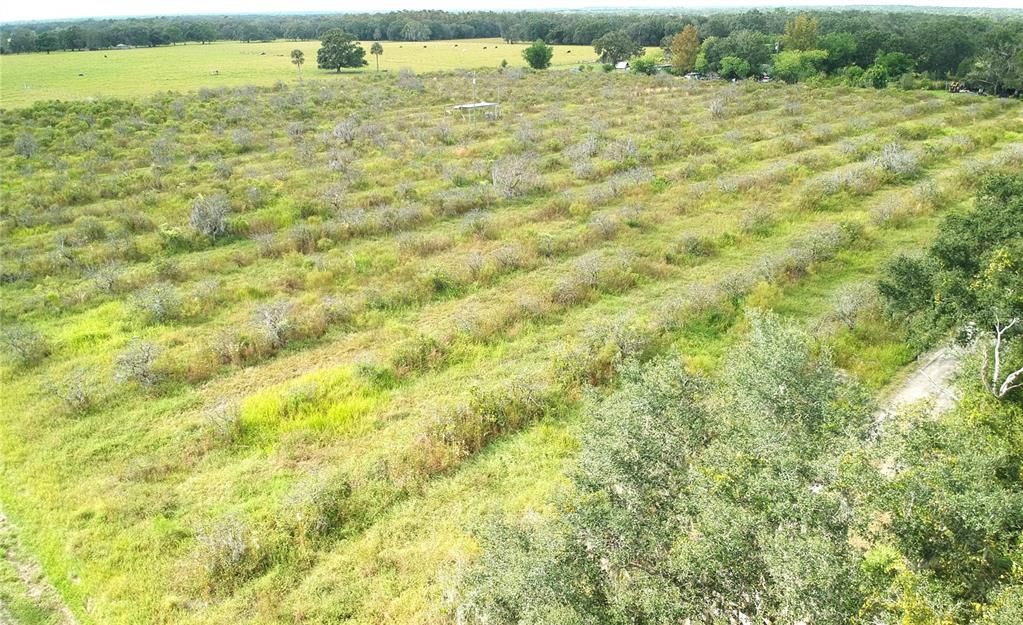 For Sale: $215,000 (10.00 acres)