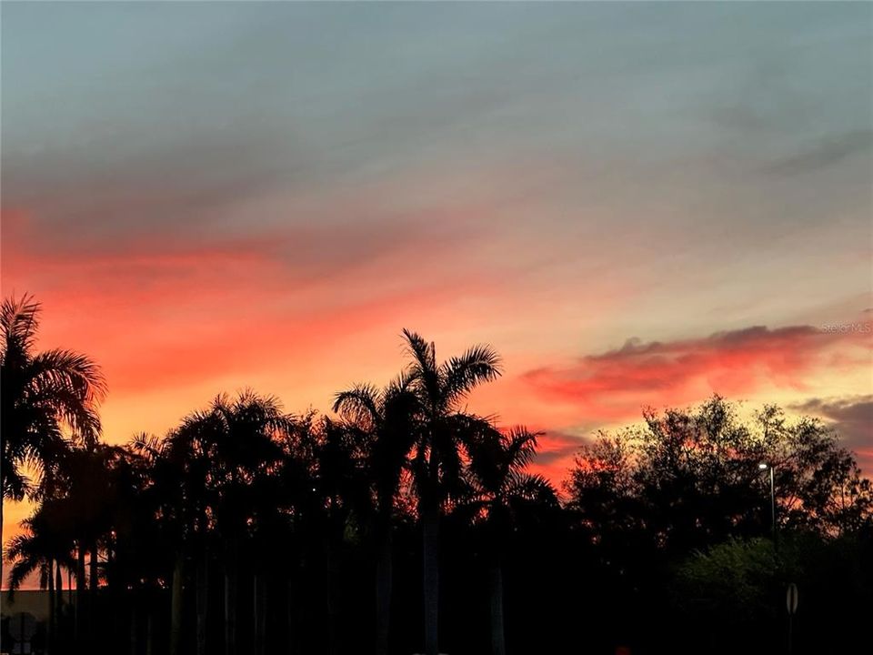Florida's Sunsets are Ahmazing!