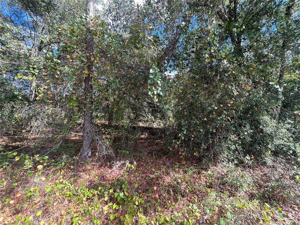 Recently Sold: $24,900 (0.62 acres)