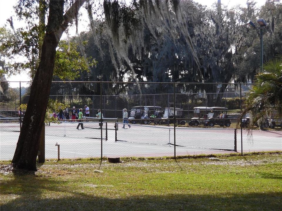 tennis -pickle ball