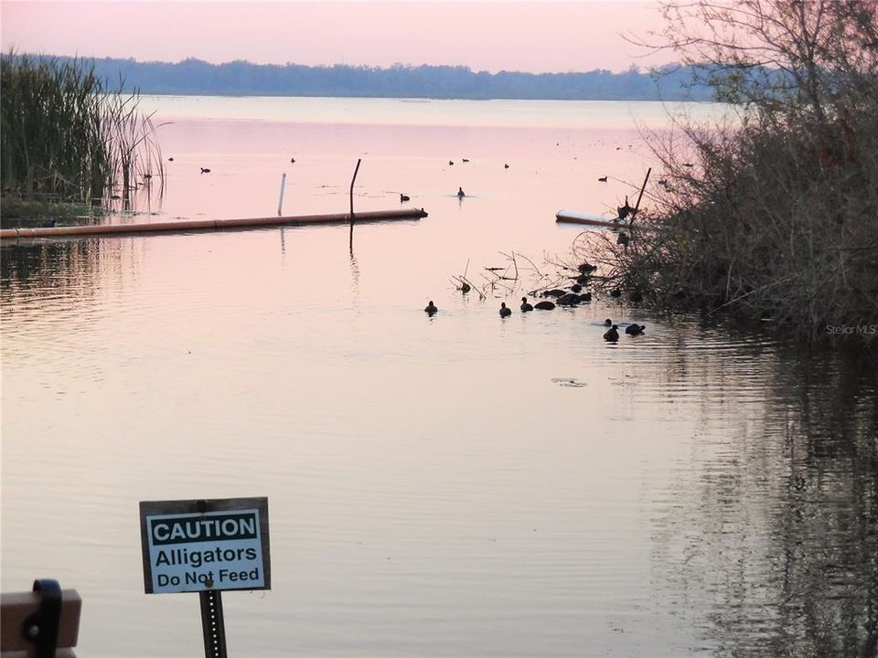 Lake Okahumpka