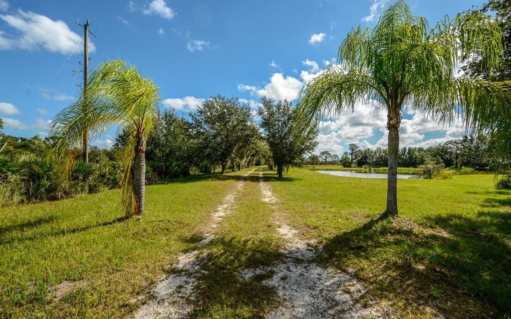 Vendido Recientemente: $239,900 (5.10 acres)