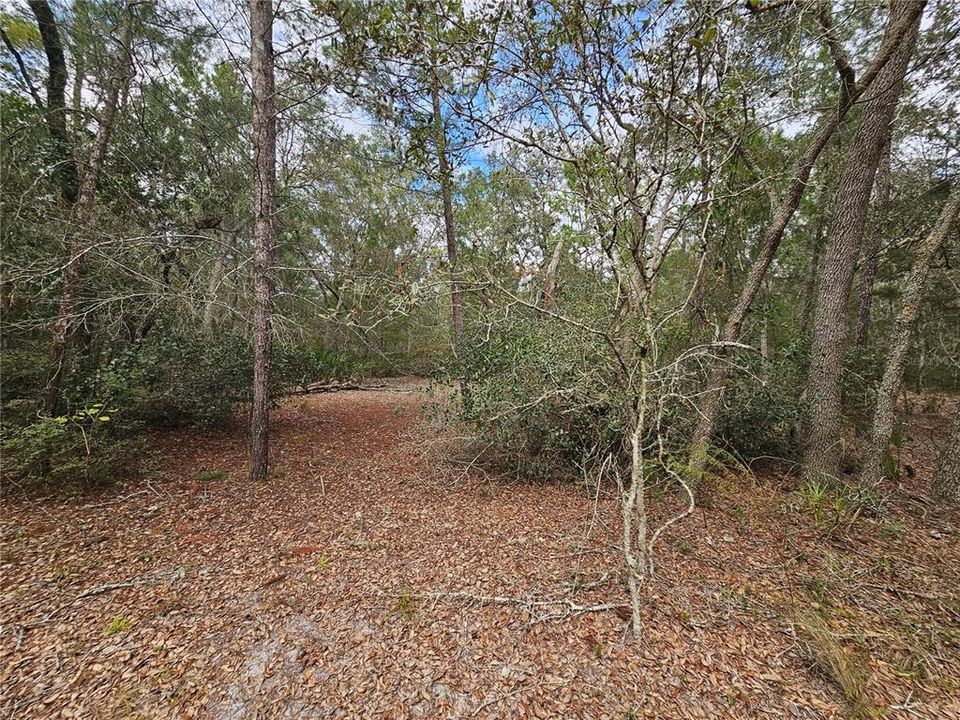 Recently Sold: $199,000 (5.80 acres)