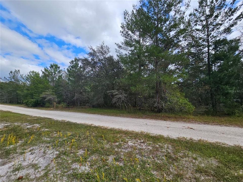 Southward view of the property