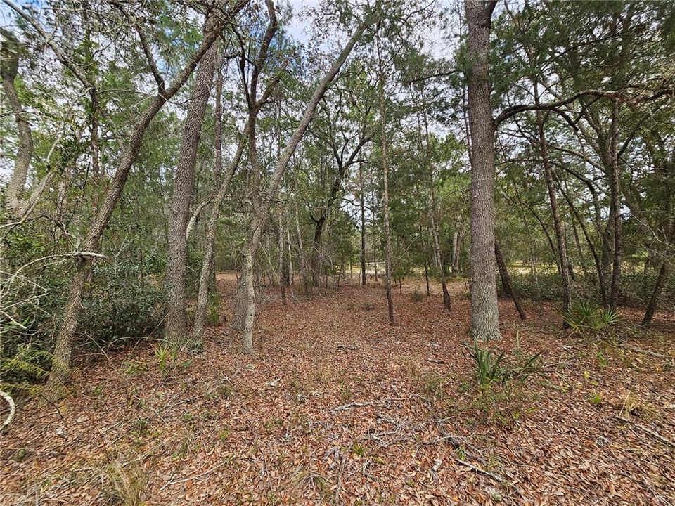 Recently Sold: $199,000 (5.80 acres)