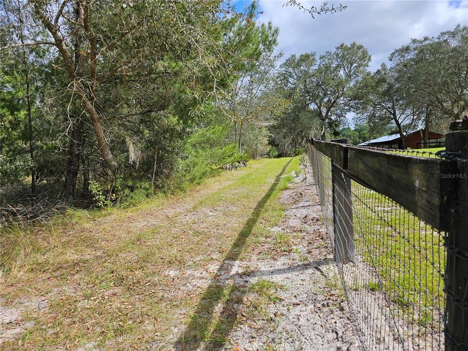 Looking West down property line adjacent to neighbors fence, near the main road