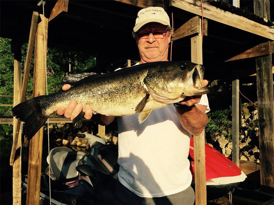 BASS FISHINS FROM THE DOCK