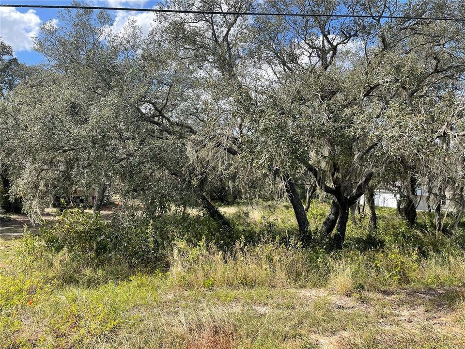 Vendido Recientemente: $59,950 (1.06 acres)