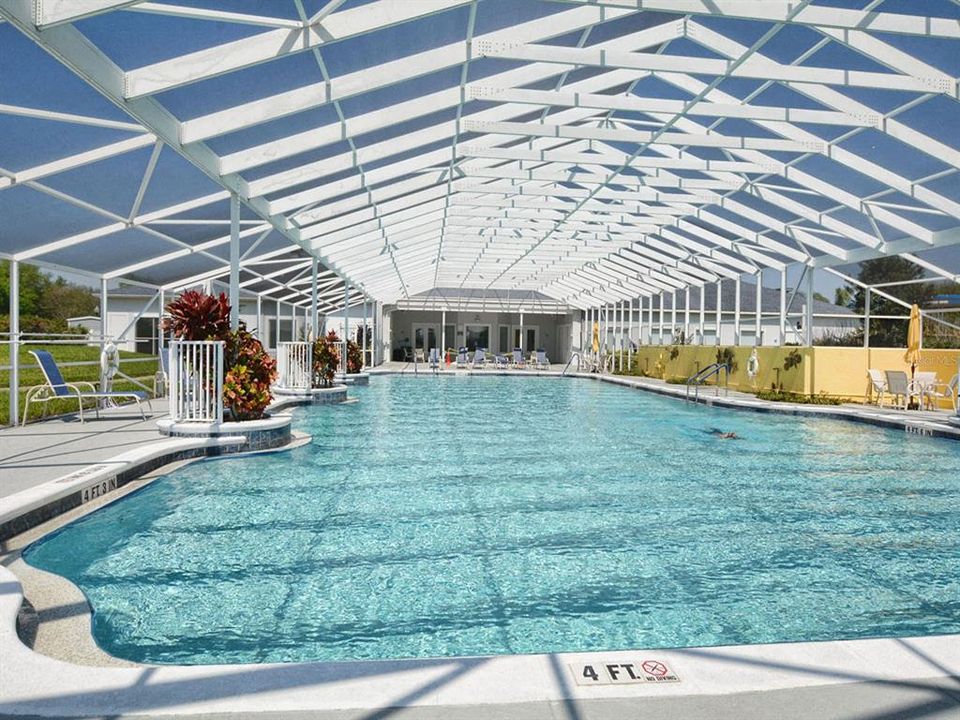 Jr Olympic sized heated pool and spa