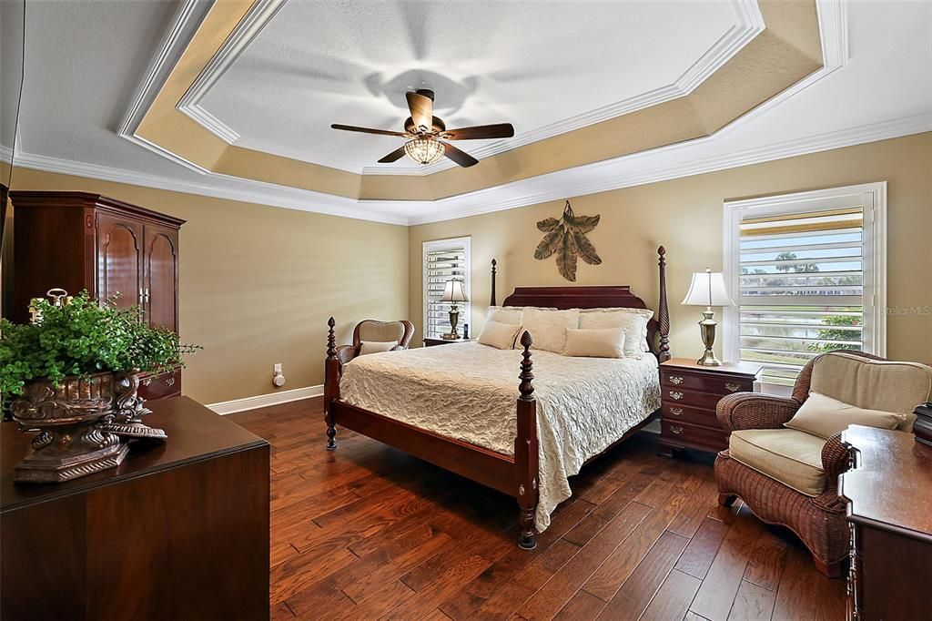 Master bedroom w/tray ceiling & wood flooring