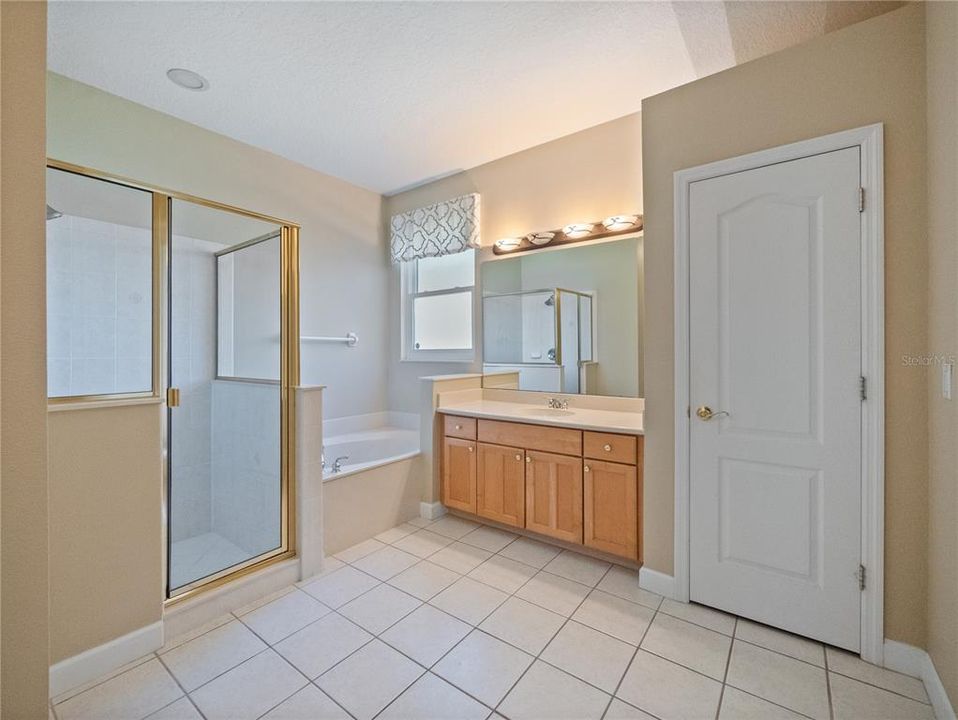 Downstairs Master Bath