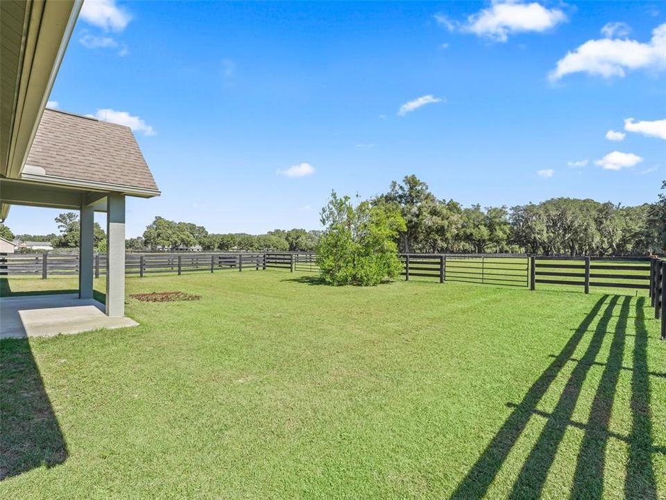 Rear Barn Paddock