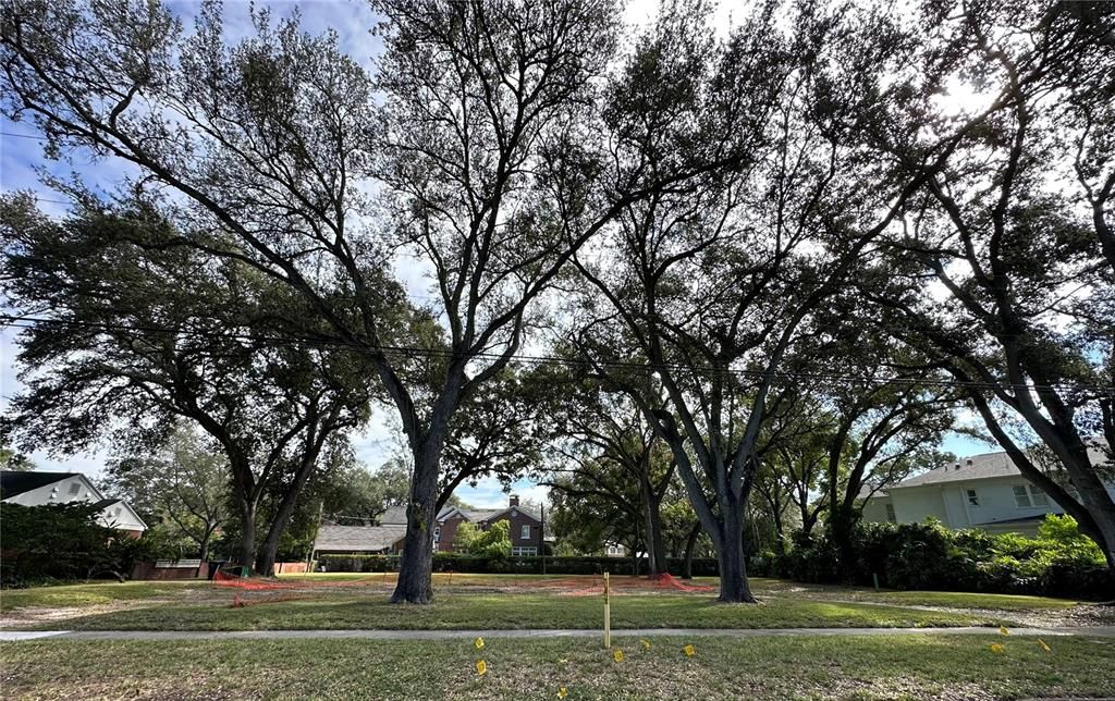 最近售出: $1,400,000 (0.43 acres)