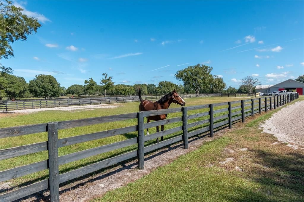 Active With Contract: $1,590,000 (4 beds, 3 baths, 3240 Square Feet)