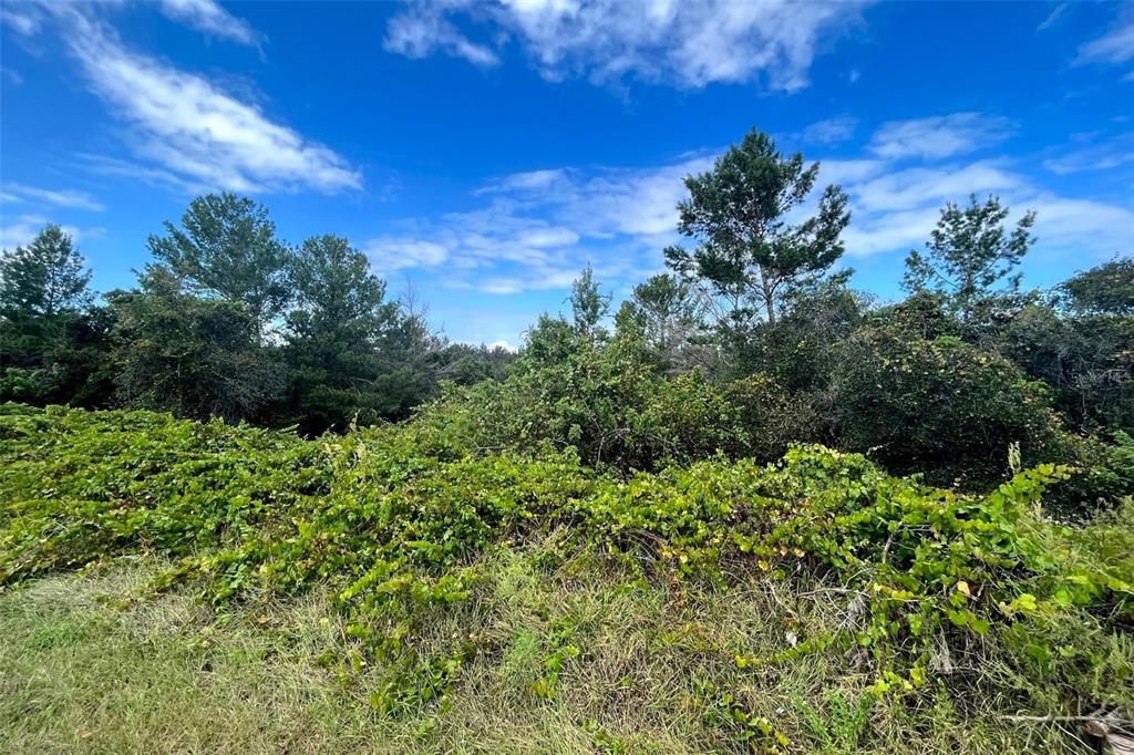 На продажу: $99,900 (0.83 acres)