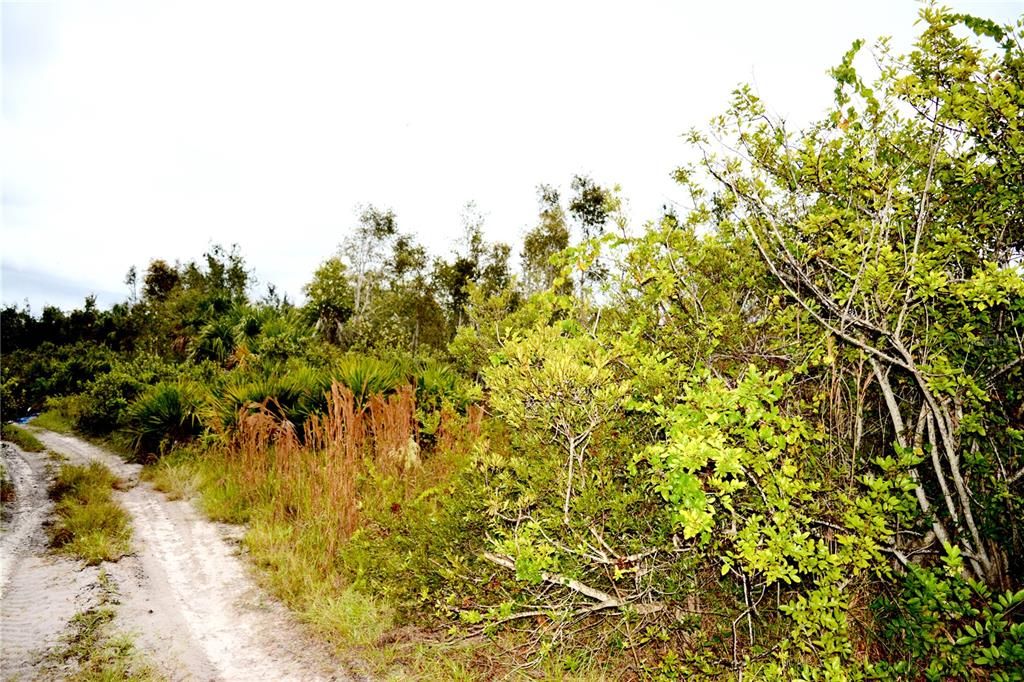 En Venta: $13,900 (0.23 acres)