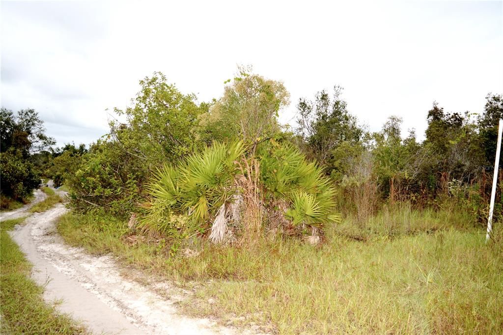 En Venta: $13,900 (0.23 acres)