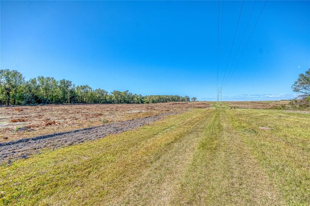 For Sale: $1,200,000 (160.00 acres)