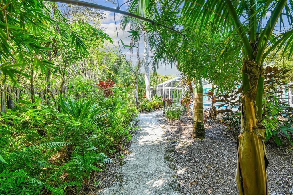 Lush garden with walkway