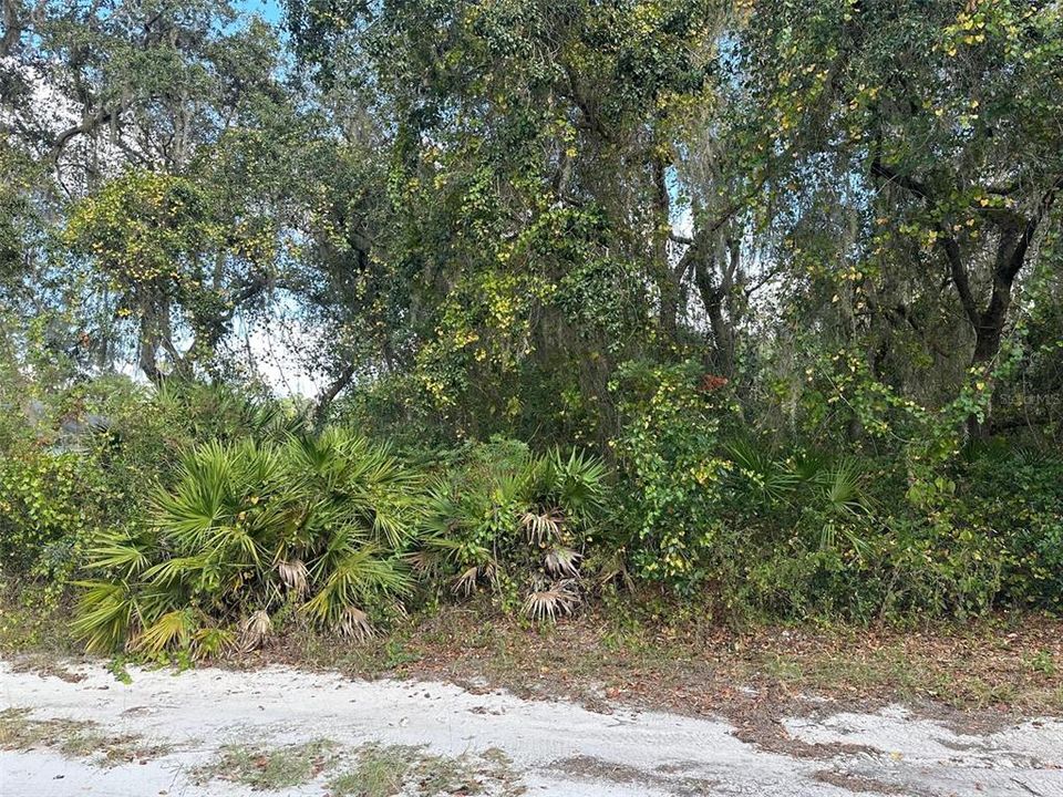 Active With Contract: $8,000 (0.21 acres)