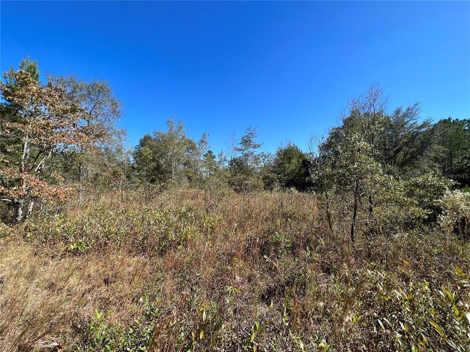 For Sale: $135,000 (10.18 acres)