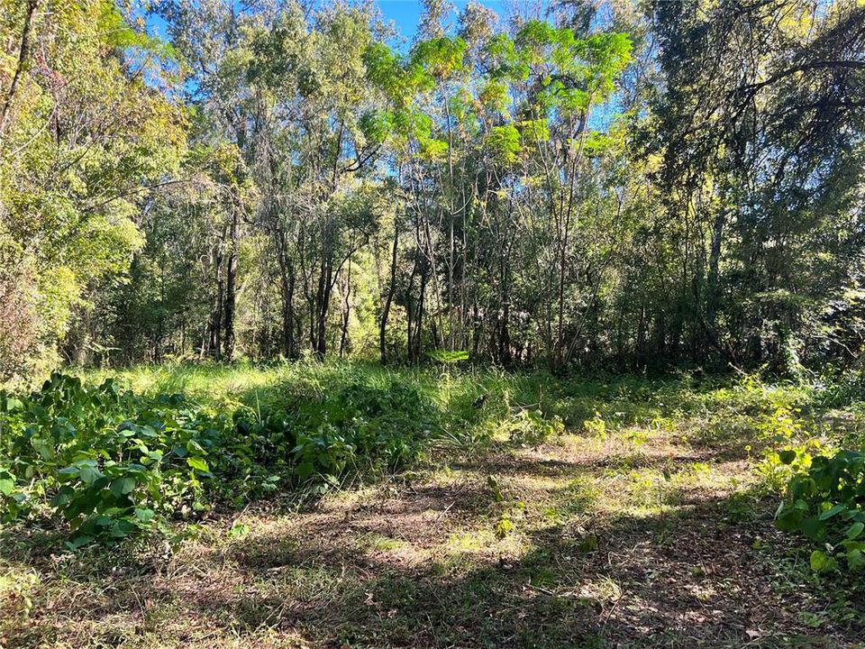 Recently Sold: $15,000 (0.40 acres)