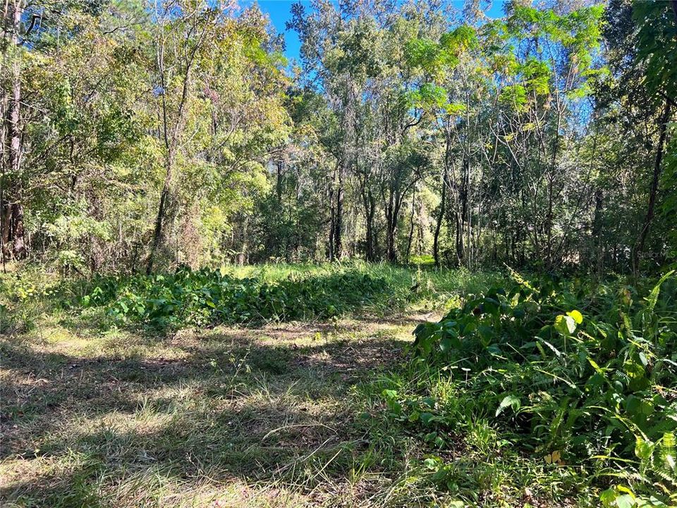 Recently Sold: $15,000 (0.40 acres)