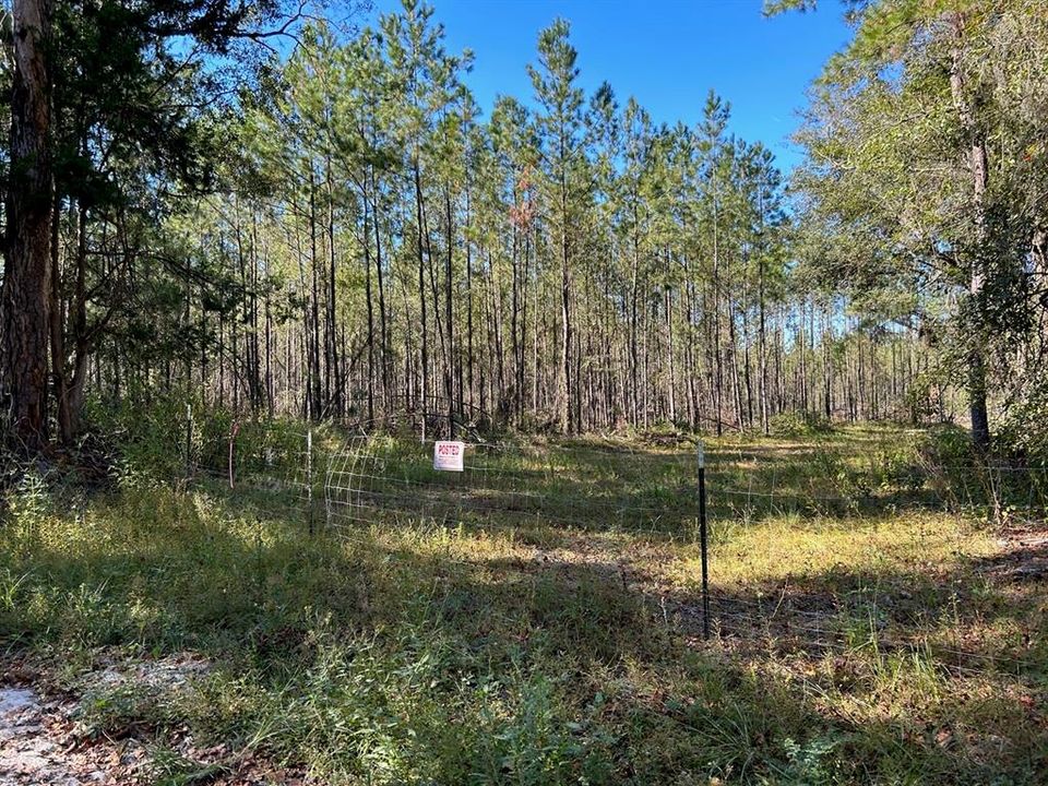 Recently Sold: $137,250 (10.98 acres)
