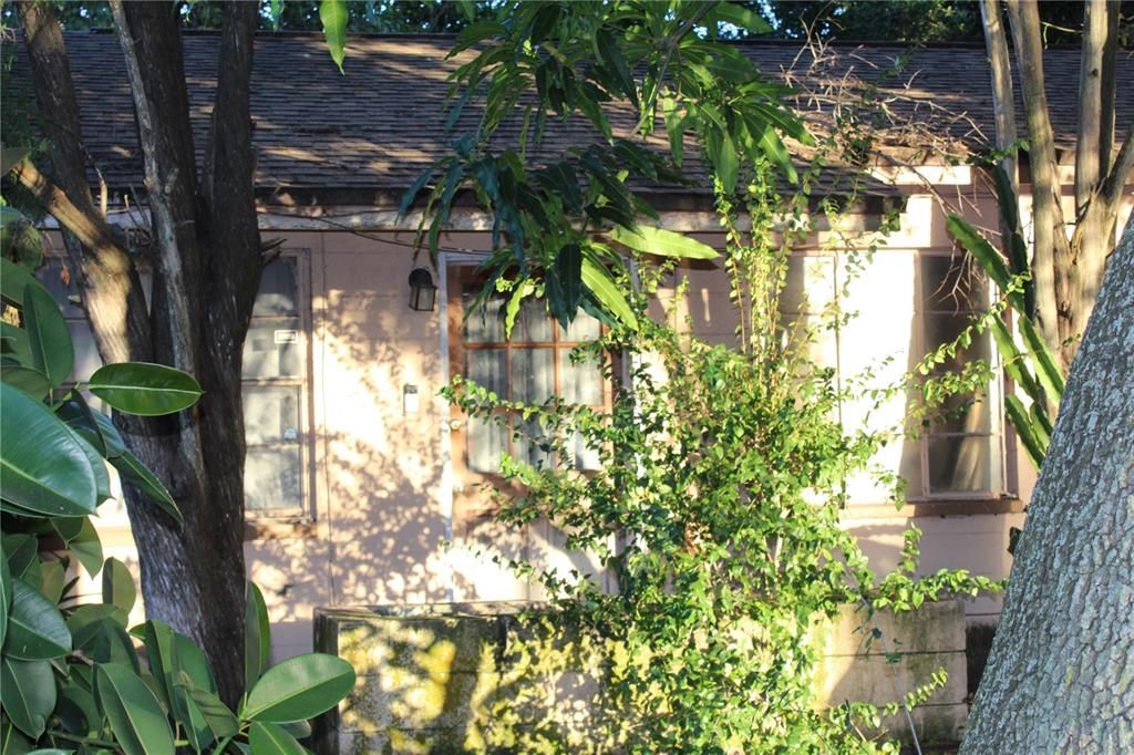 Front of the house