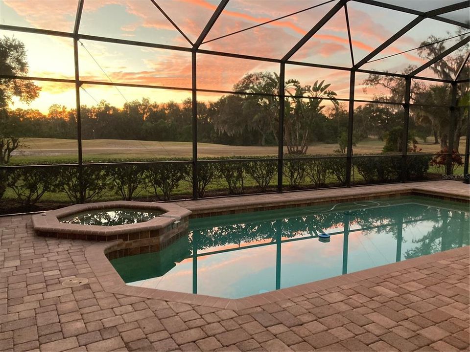 Pool / Backyard - Dusk