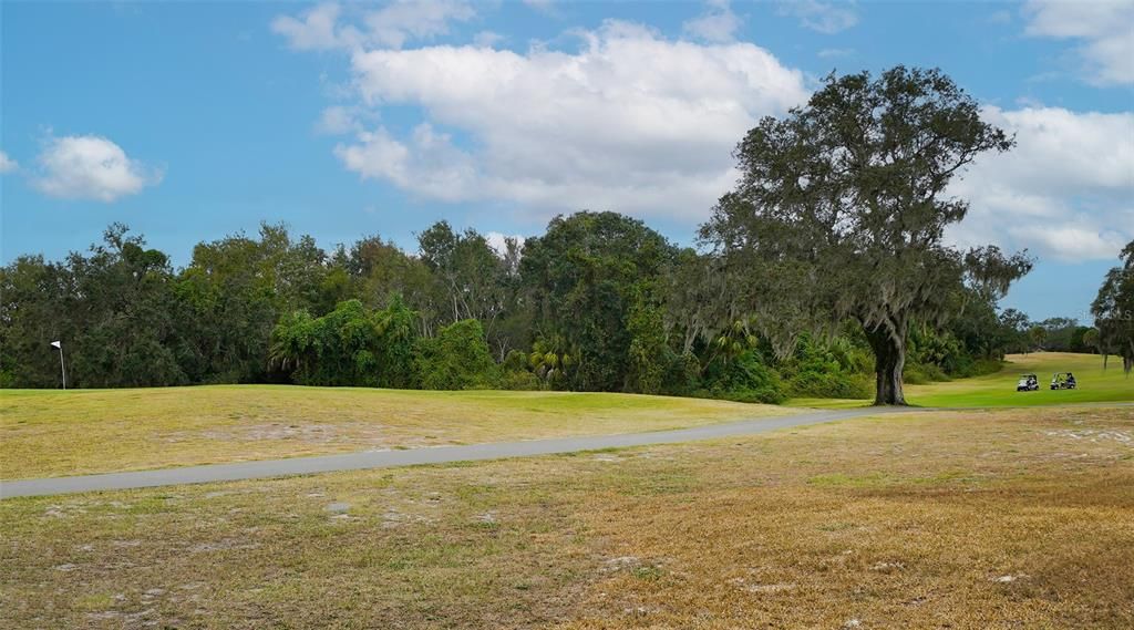 Golf Course View