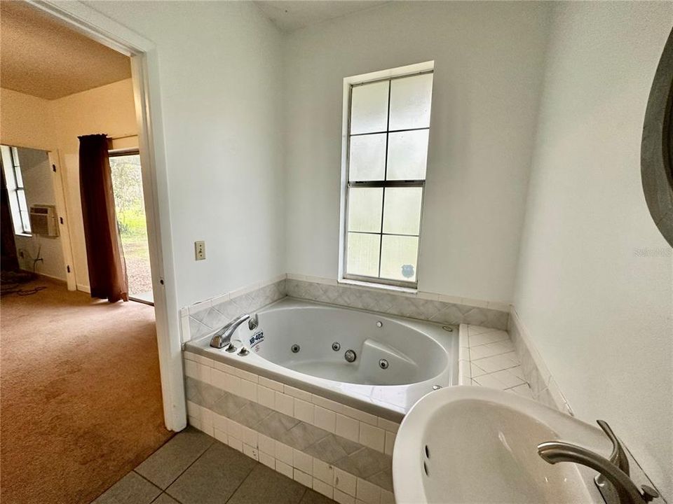 Master bathroom with Jacuzzi tub and walk in shower