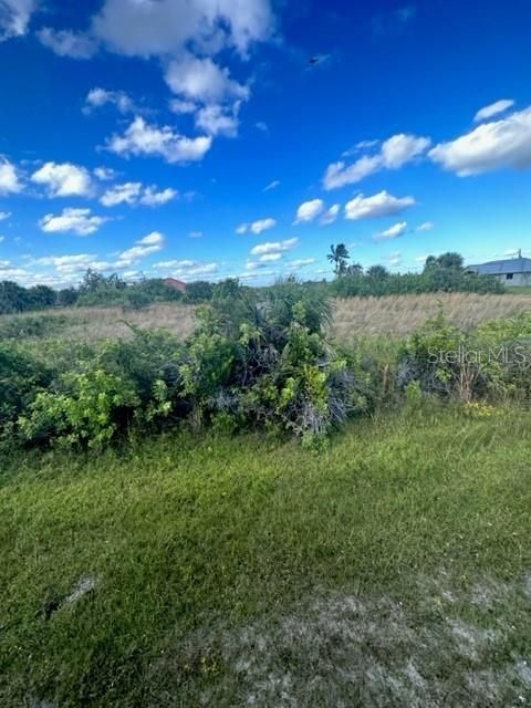 Active With Contract: $78,000 (0.23 acres)