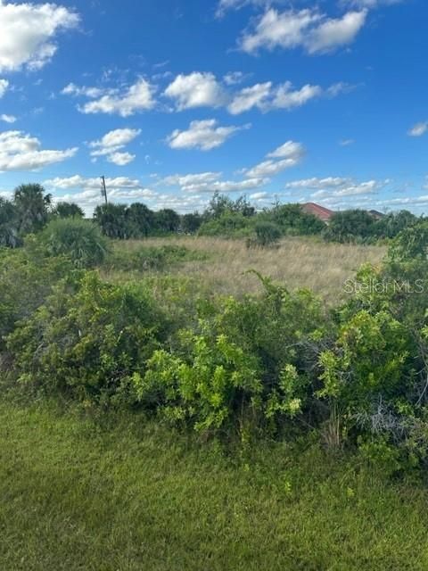 Activo con contrato: $78,000 (0.23 acres)