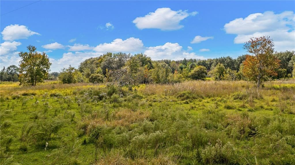 Pasture part of 20 acres, East side of property