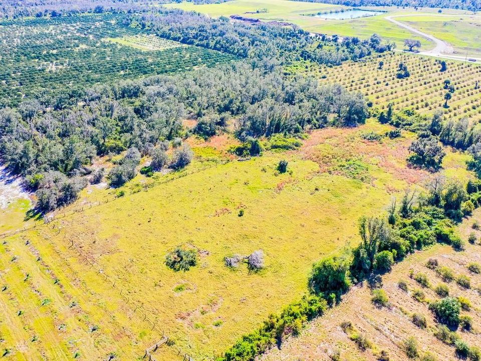 For Sale: $250,000 (4.34 acres)