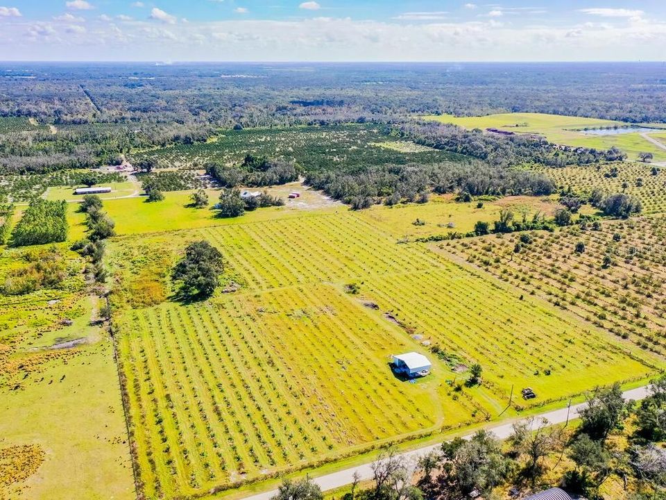 For Sale: $250,000 (4.34 acres)