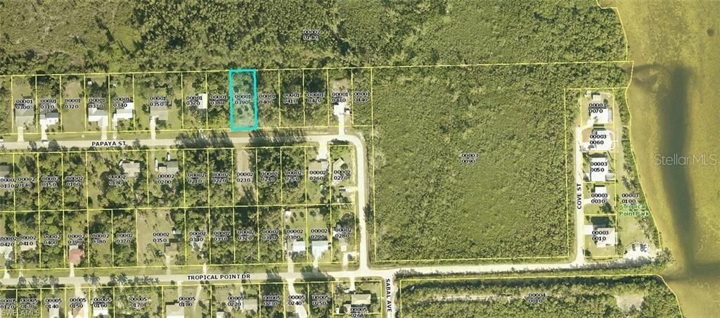 For Sale: $54,500 (0.31 acres)