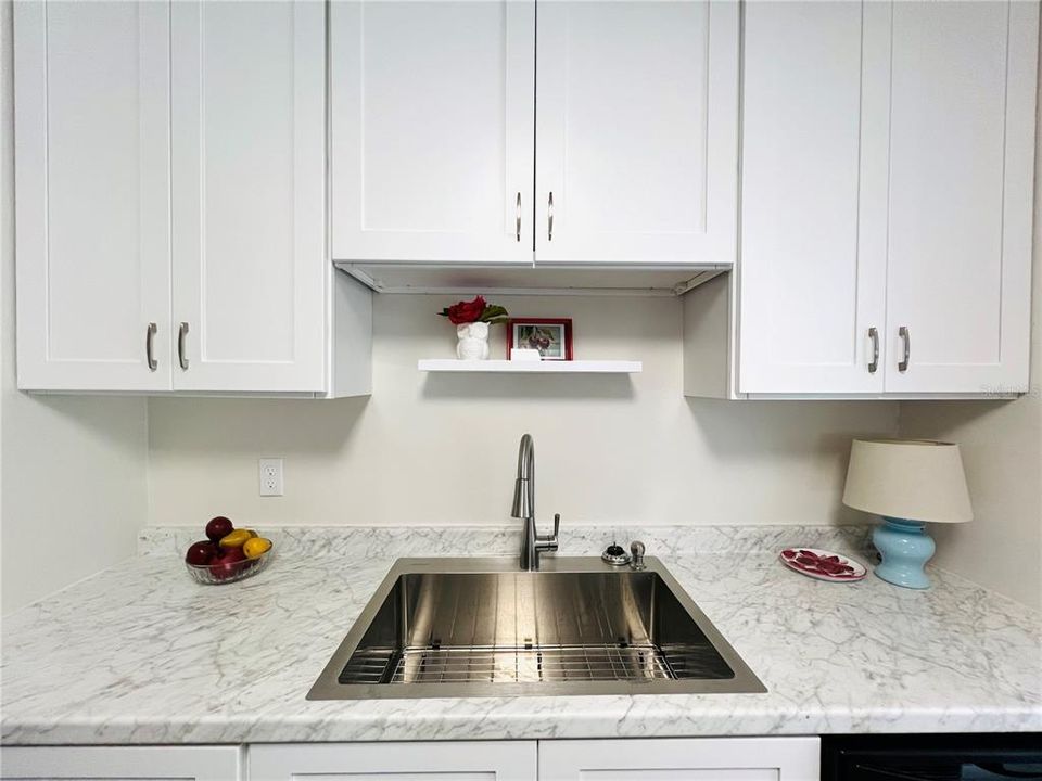 Brand New Cabinets, sink and Appliances